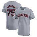 Odoa C.Guardians #75 Connor Brogdon Player Gray Road Limited Elite Home Stitched Jerseys